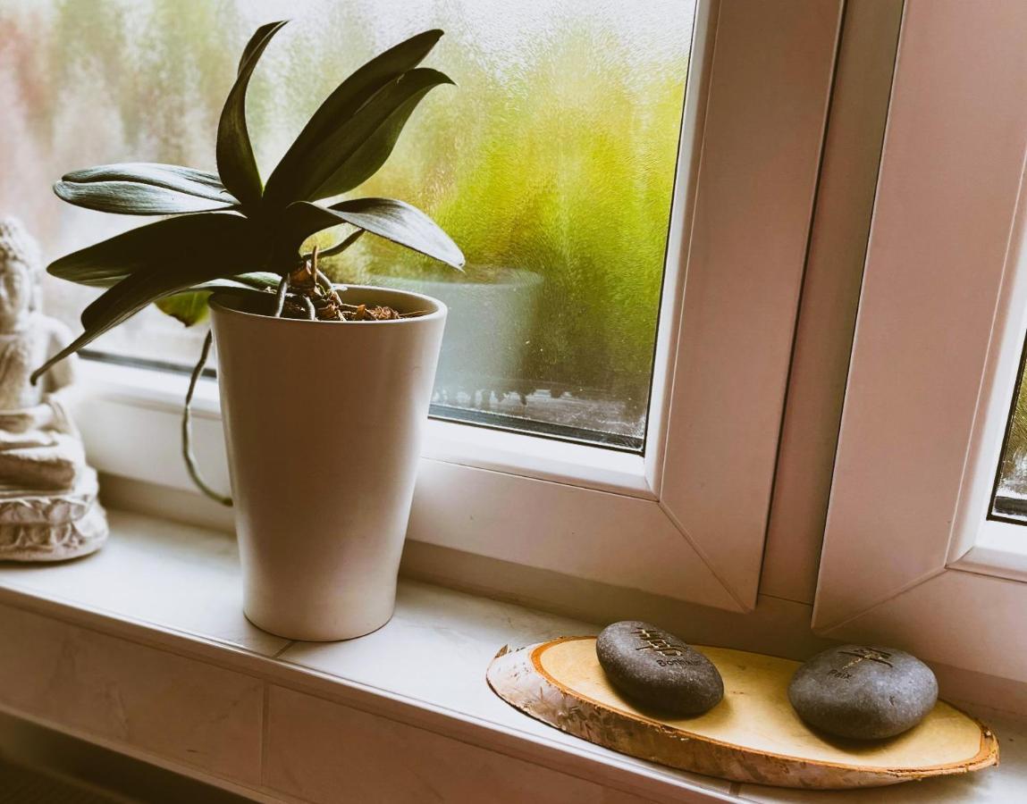 Modernes Appartement Im Gruenen - Stilvoll Und Komfortabel Кельн Екстер'єр фото